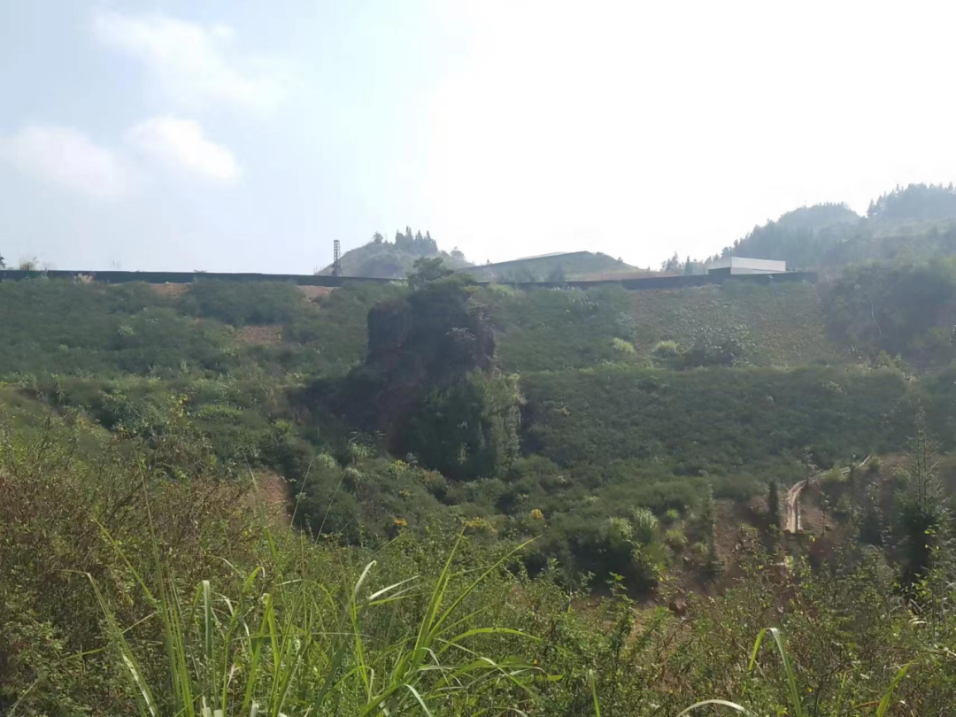 国土空间生态修复典型案例丨福建省大田县废弃矿山生态修复项目