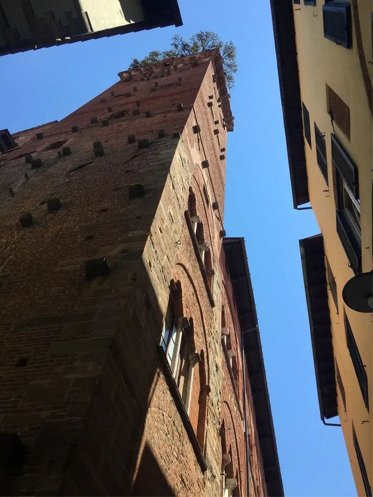 读城 | 何依:童话与歌剧的小城——卢卡(LUCCA) 读城 | 何依:童话与歌剧的小城——卢卡(LUCCA)