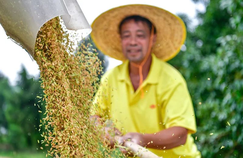 数读中国 | 十组数据见证新时代伟大成就 数读中国 | 十组数据见证新时代伟大成就