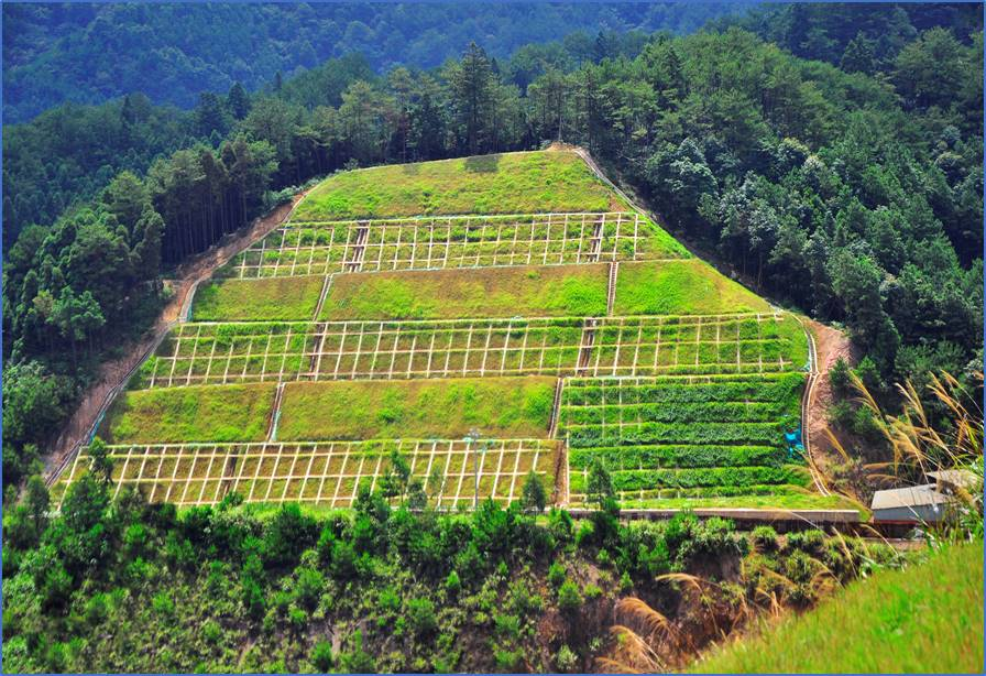 国土空间生态修复典型案例丨福建省大田县废弃矿山生态修复项目
