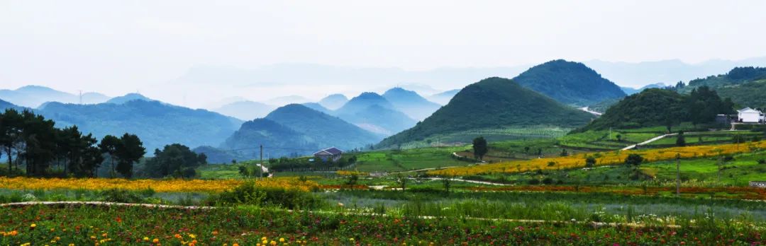 同衡快讯 | 贵州“美丽南山”田园综合体,助力“一带一路”国际合作 同衡快讯 | 贵州“美丽南山”田园综合体,助力“一带一路”国际合作