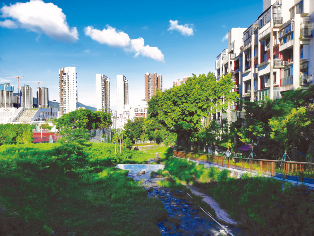 从蓝图到实景:深圳市公园城市规划与建设实践 从蓝图到实景:深圳市公园城市规划与建设实践