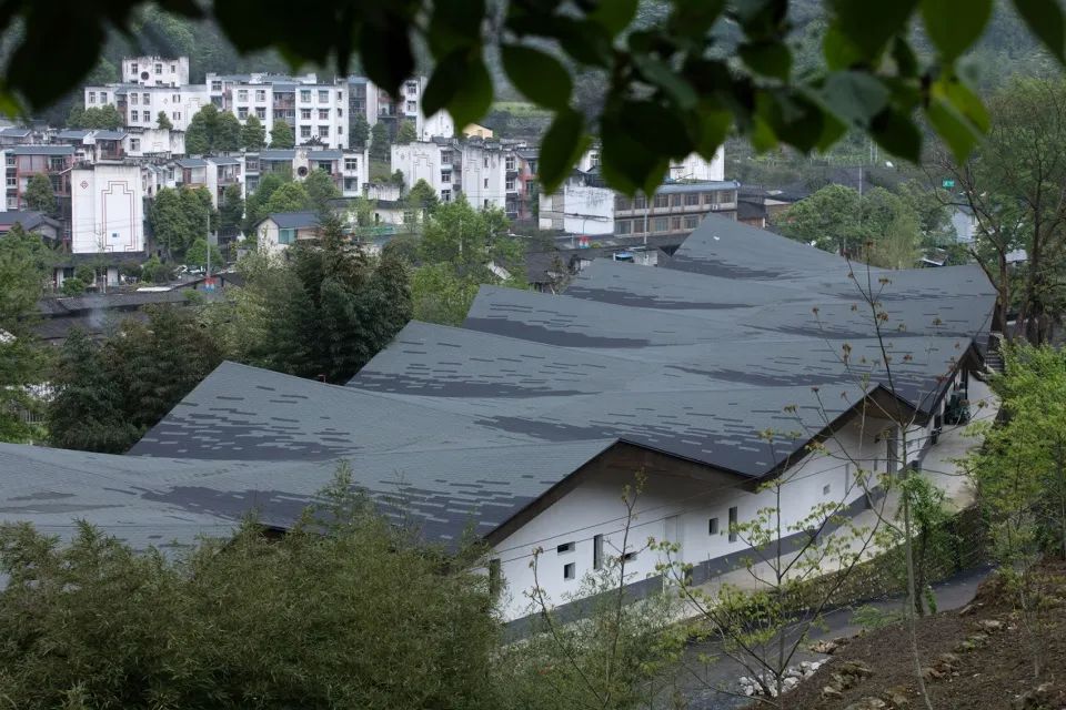 什么是沥青瓦？