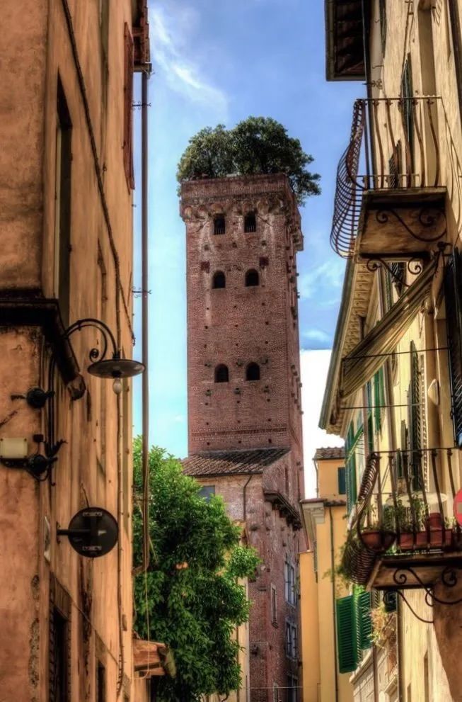 读城 | 何依:童话与歌剧的小城——卢卡(LUCCA) 读城 | 何依:童话与歌剧的小城——卢卡(LUCCA)