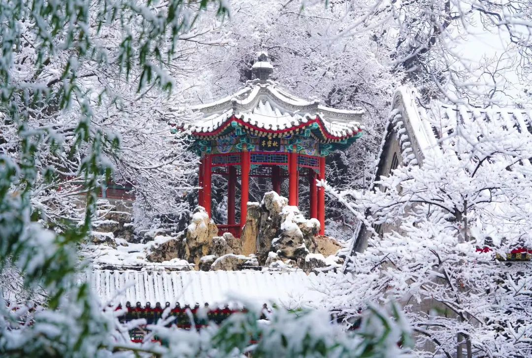 下雪了!最新出炉的北京雪景图,邀您欣赏 下雪了!最新出炉的北京雪景图,邀您欣赏