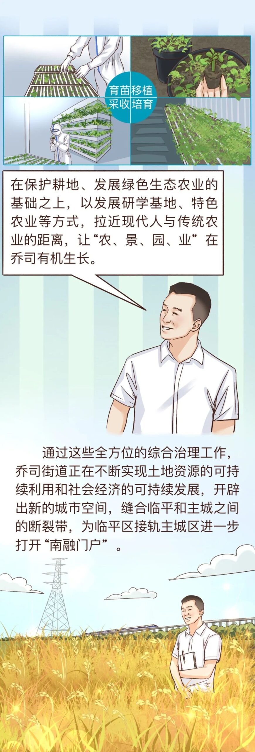临平田长有“画”说⑤ | 钟奇：在乔司全域土地综合整治进程中当好新时代耕地“守护者”