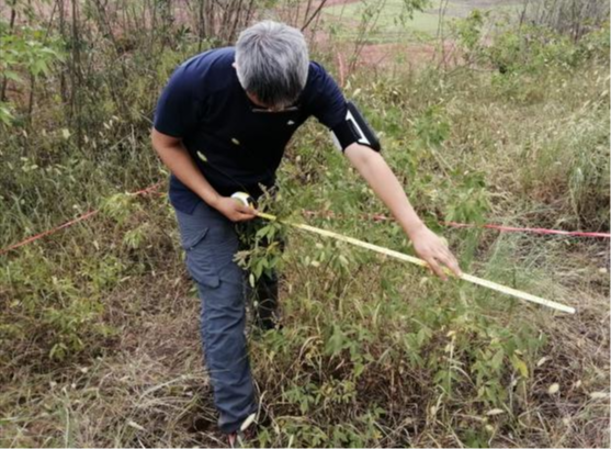 国土空间生态修复典型案例丨广东粤北南岭山区山水林田湖草生态保护修复工程——南雄市红砂岭综合治理项目