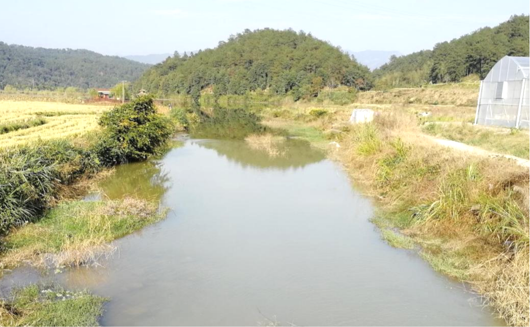国土空间生态修复典型案例丨福建省将乐县常上湖生态保护修复示范项目 国土空间生态修复典型案例丨福建省将乐县常上湖生态保护修复示范项目