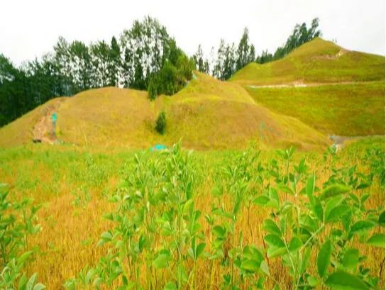 国土空间生态修复典型案例丨福建省大田县废弃矿山生态修复项目