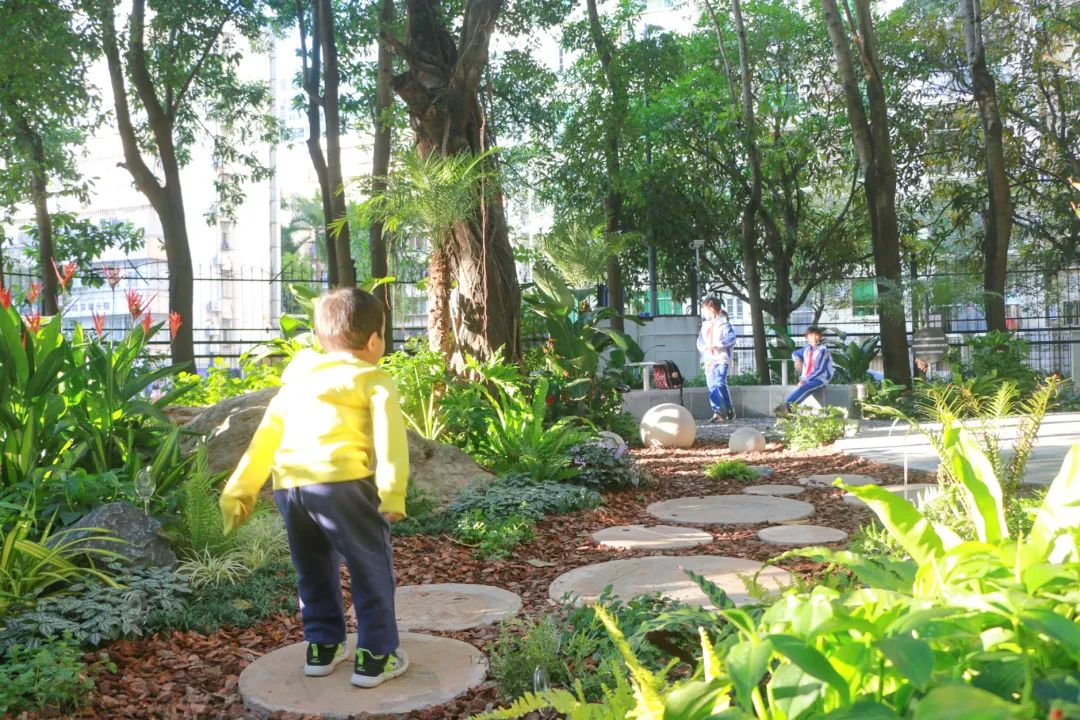从蓝图到实景:深圳市公园城市规划与建设实践 从蓝图到实景:深圳市公园城市规划与建设实践