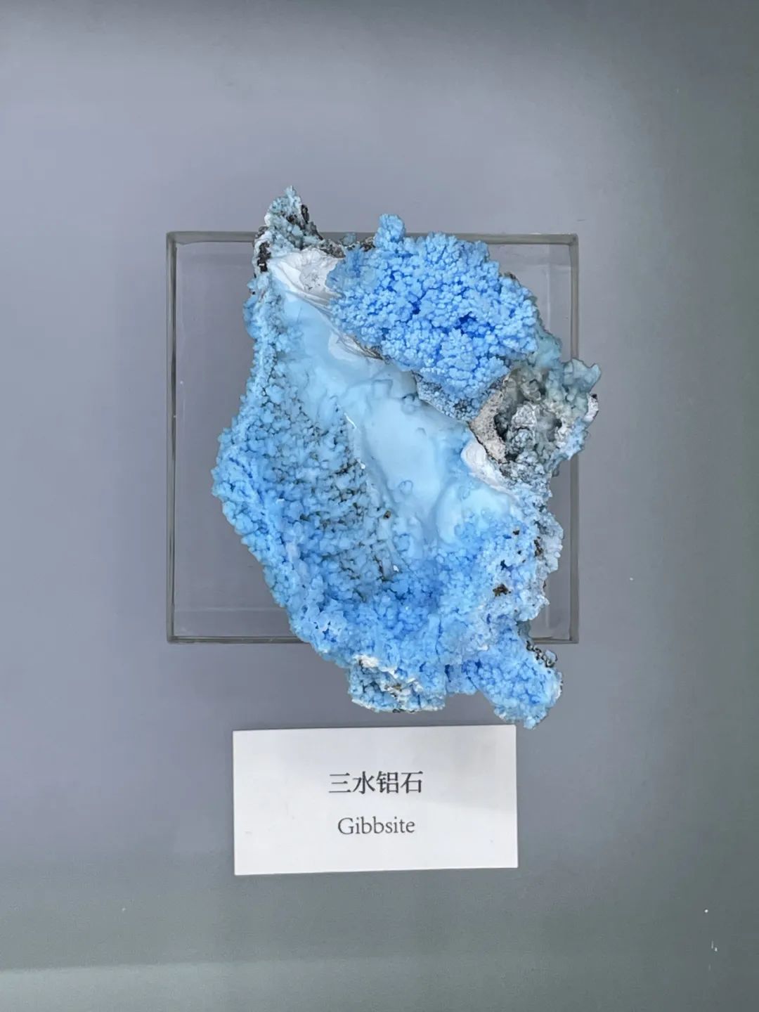“矿意飞扬—矿物与艺术主题展”在京开幕
