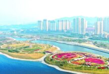 鱼塘变绿洲——厦门马銮湾海洋生态修复纪实-规划问道