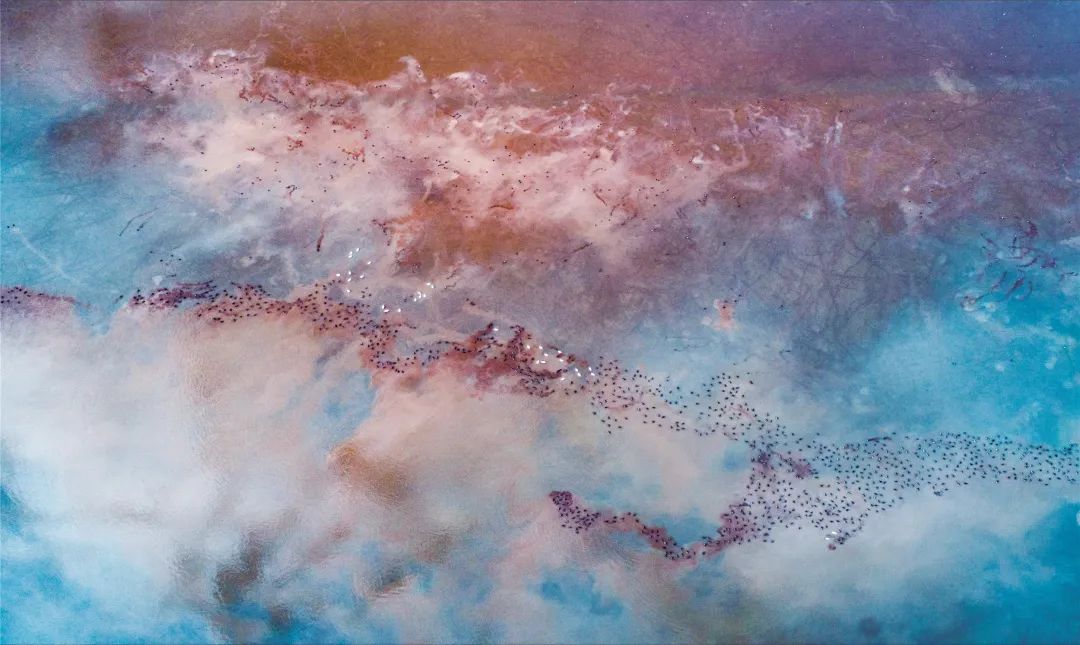 盐城杯“大美中国 最美湿地”摄影大赛获奖作品选登 盐城杯“大美中国 最美湿地”摄影大赛获奖作品选登