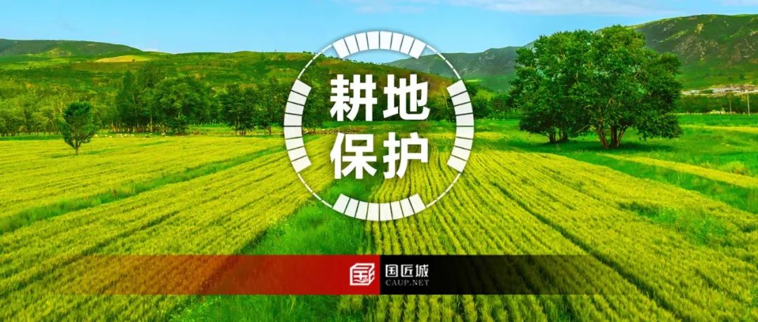 耕地保护专项规划专题知识分享:文献及国家政策,耕地保护激励办法与激励评价指标体系,省、市、县级耕地保护国土空间专项规划案例 耕地保护专项规划专题知识分享:文献及国家政策,耕地保护激励办法与激励评价指标体系,省、市、县级耕地保护国土空间专项规划案例