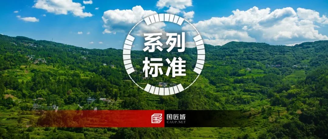 农村地区如何进行全域国土综合整治规划设计?湖北省发布系列标准 农村地区如何进行全域国土综合整治规划设计?湖北省发布系列标准