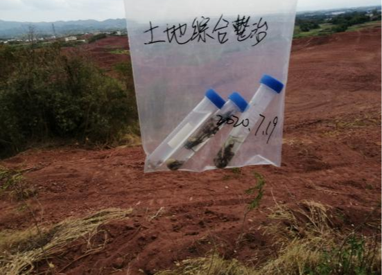 国土空间生态修复典型案例丨广东粤北南岭山区山水林田湖草生态保护修复工程——南雄市红砂岭综合治理项目