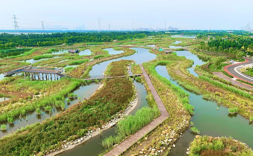 国土空间生态修复典型案例丨天津港保税区临港湿地二期生态修复项目
