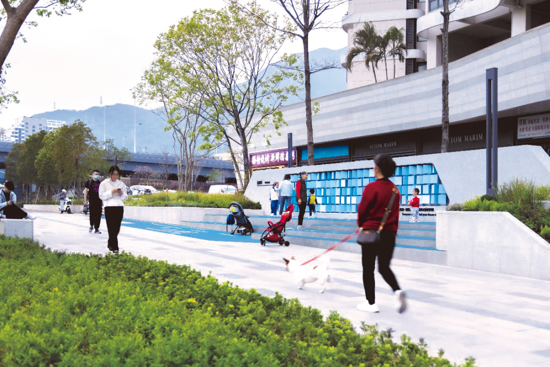 从蓝图到实景:深圳市公园城市规划与建设实践 从蓝图到实景:深圳市公园城市规划与建设实践