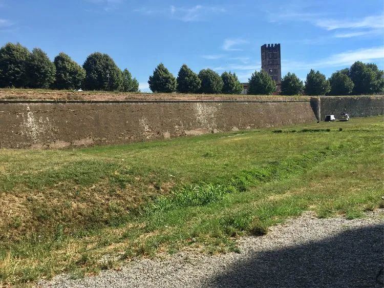 读城 | 何依:童话与歌剧的小城——卢卡(LUCCA) 读城 | 何依:童话与歌剧的小城——卢卡(LUCCA)