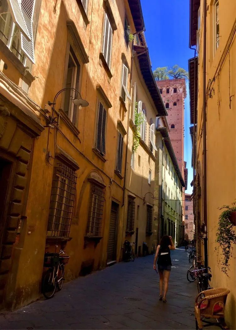 读城 | 何依:童话与歌剧的小城——卢卡(LUCCA) 读城 | 何依:童话与歌剧的小城——卢卡(LUCCA)