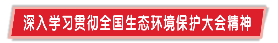 鱼塘变绿洲——厦门马銮湾海洋生态修复纪实 鱼塘变绿洲——厦门马銮湾海洋生态修复纪实
