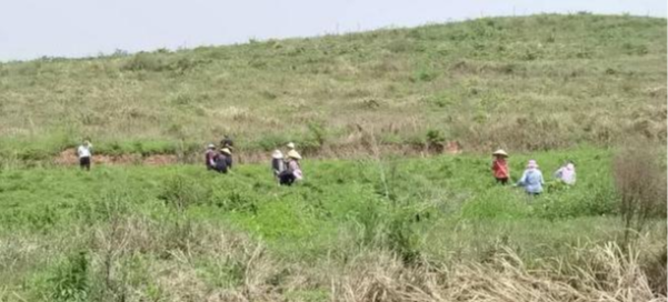 国土空间生态修复典型案例丨广东粤北南岭山区山水林田湖草生态保护修复工程——南雄市红砂岭综合治理项目