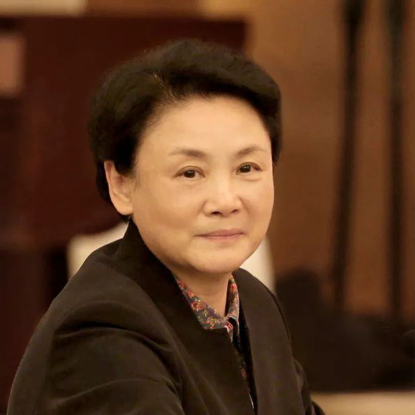 新书推荐 | 《理想空间》系列丛书《未来乡村探索与实践》专辑
