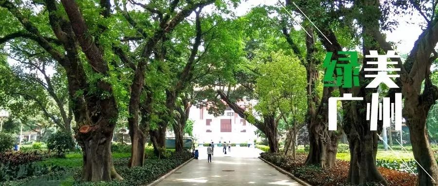 涉绿水人间境,让林深知去处——从化全域森林步道路径优化提升策略探索 涉绿水人间境,让林深知去处——从化全域森林步道路径优化提升策略探索