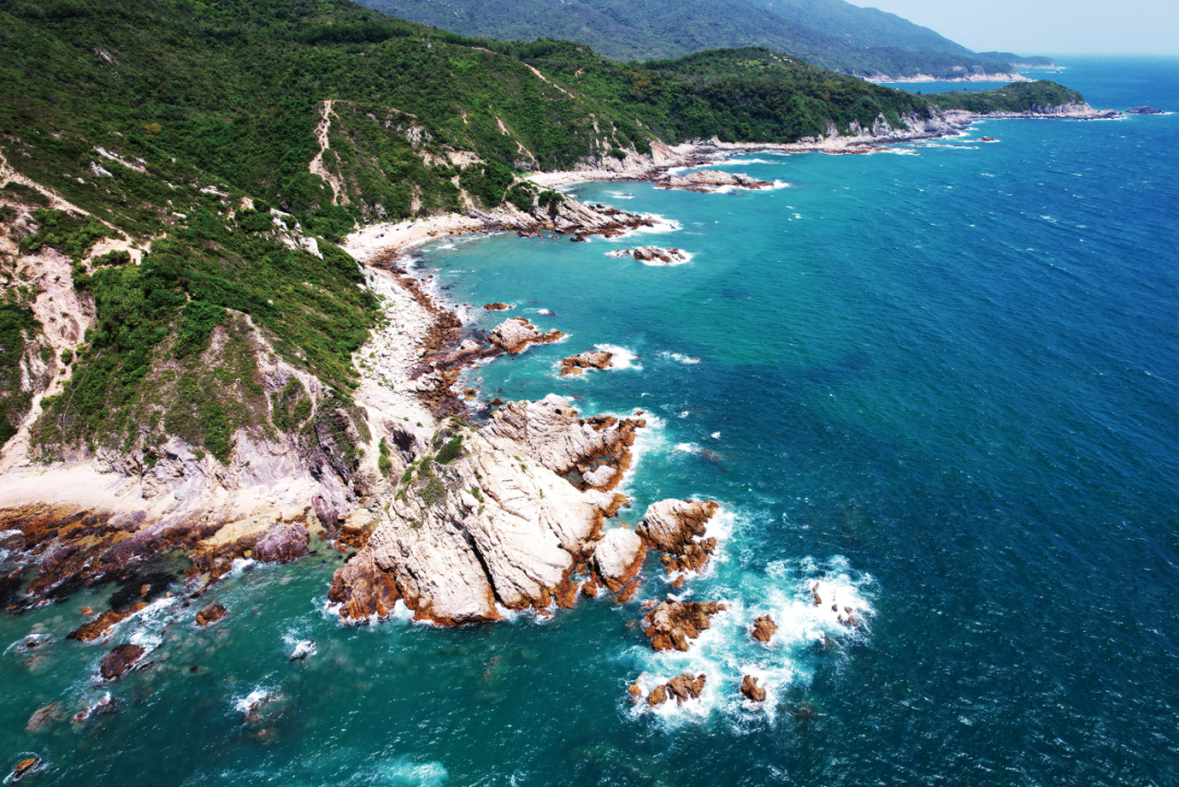 从蓝图到实景:深圳市公园城市规划与建设实践 从蓝图到实景:深圳市公园城市规划与建设实践