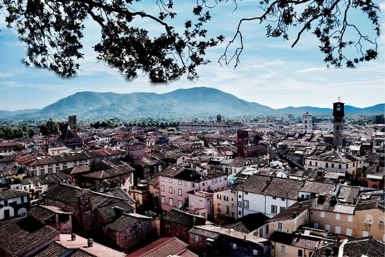 读城 | 何依:童话与歌剧的小城——卢卡(LUCCA) 读城 | 何依:童话与歌剧的小城——卢卡(LUCCA)