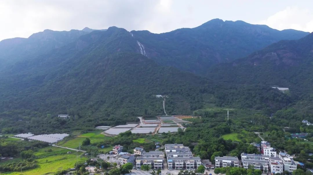 从“体感温度”的时空分布探寻广州户外活动舒适区|每月数说 从“体感温度”的时空分布探寻广州户外活动舒适区|每月数说
