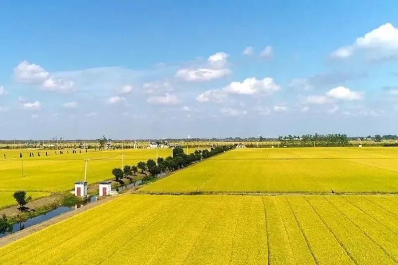 郧文聚：向新时代更高水平耕地保护进发