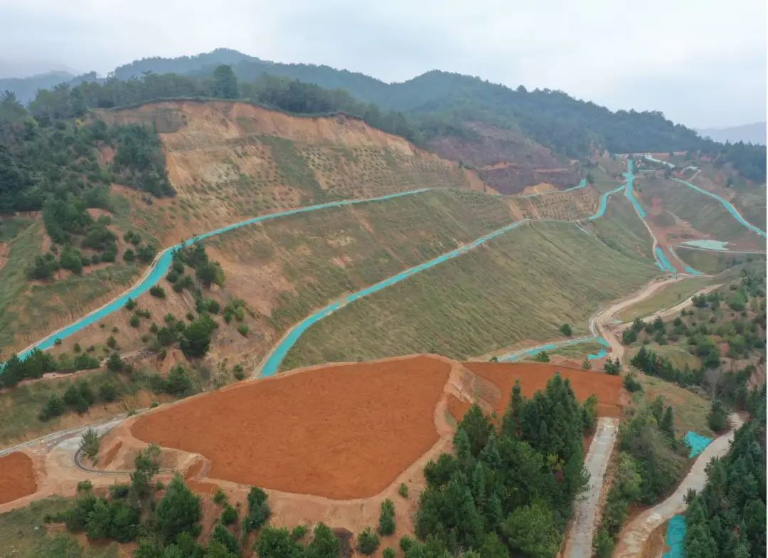 国土空间生态修复典型案例丨福建省大田县废弃矿山生态修复项目