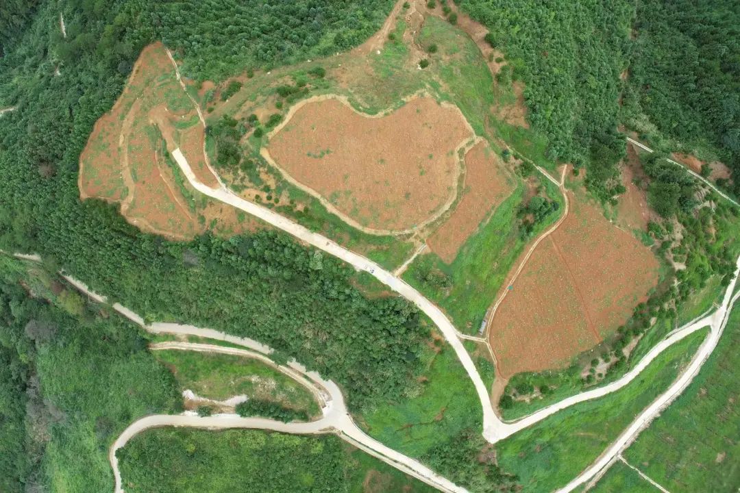 国土空间生态修复典型案例丨福建省大田县废弃矿山生态修复项目