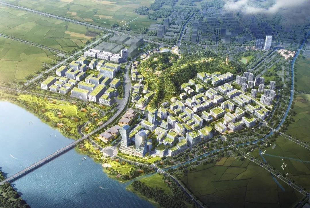 城市更新③｜从中山实践看城市更新的片区统筹