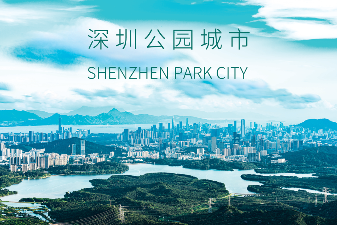 从蓝图到实景:深圳市公园城市规划与建设实践 从蓝图到实景:深圳市公园城市规划与建设实践