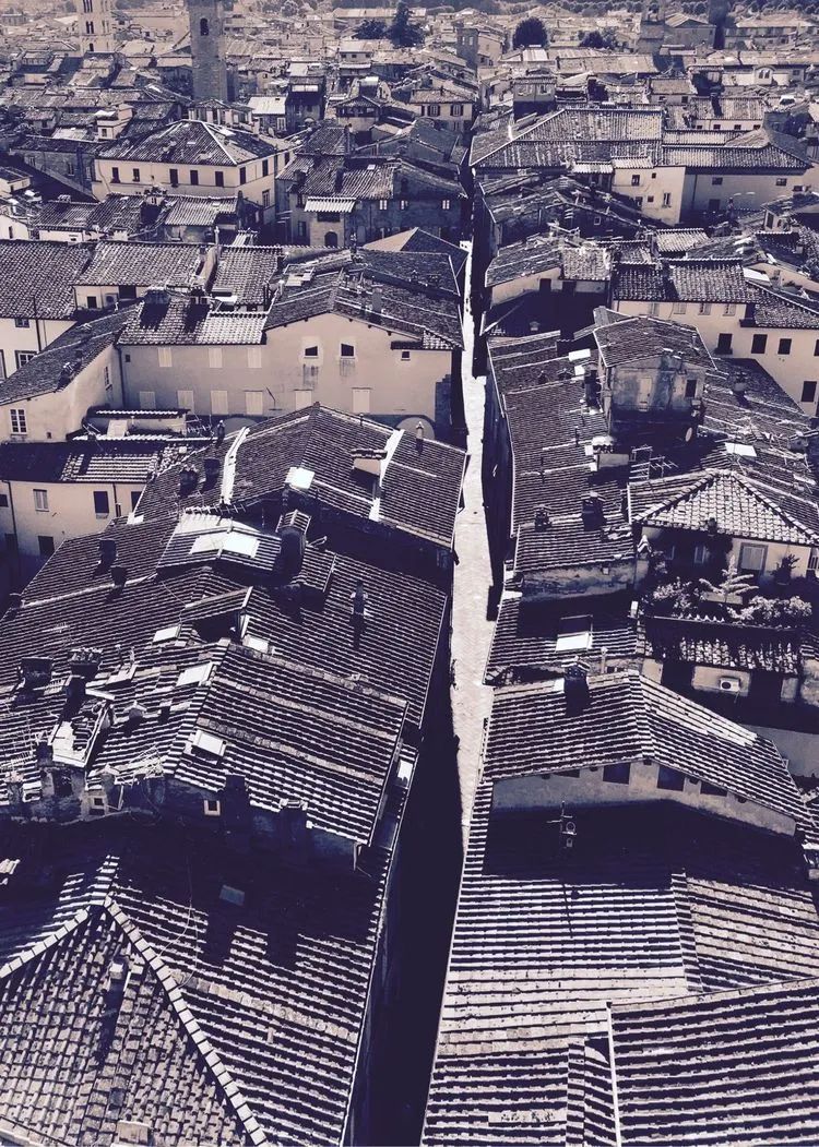读城 | 何依:童话与歌剧的小城——卢卡(LUCCA) 读城 | 何依:童话与歌剧的小城——卢卡(LUCCA)