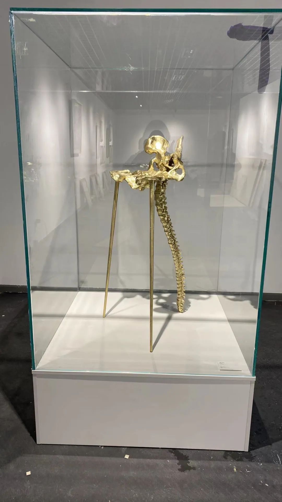 “矿意飞扬—矿物与艺术主题展”在京开幕