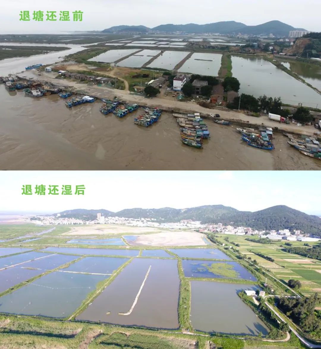 国土空间生态修复典型案例丨福建闽江流域山水林田湖草生态保护修复工程——福州市闽江河口湿地生态保护及入侵物种综合治理项目
