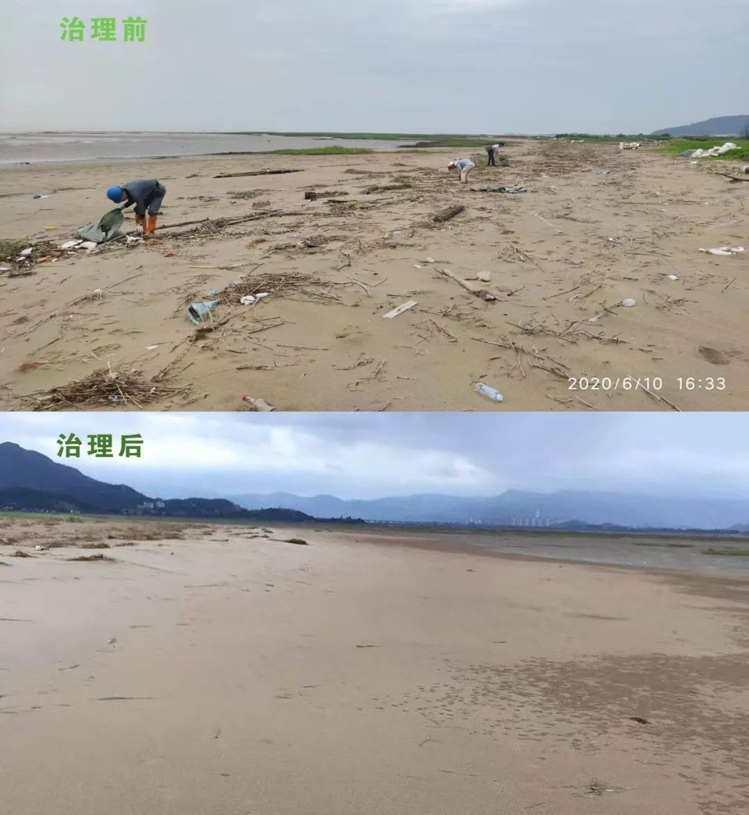 国土空间生态修复典型案例丨福建闽江流域山水林田湖草生态保护修复工程——福州市闽江河口湿地生态保护及入侵物种综合治理项目