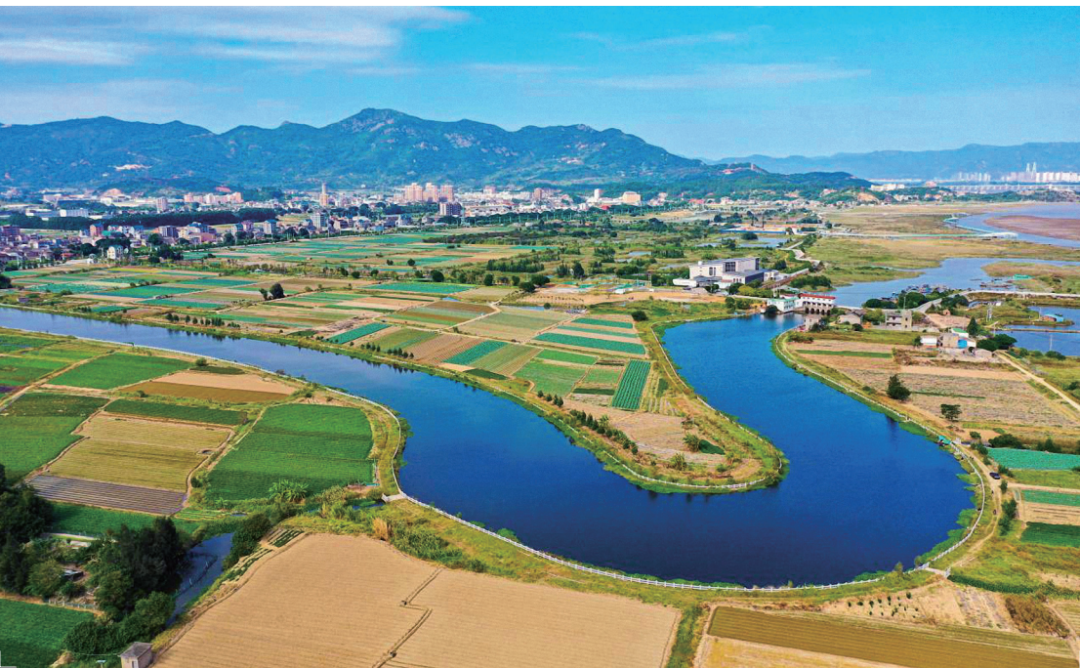 国土空间生态修复典型案例丨福建闽江流域山水林田湖草生态保护修复工程——福州市闽江河口湿地生态保护及入侵物种综合治理项目
