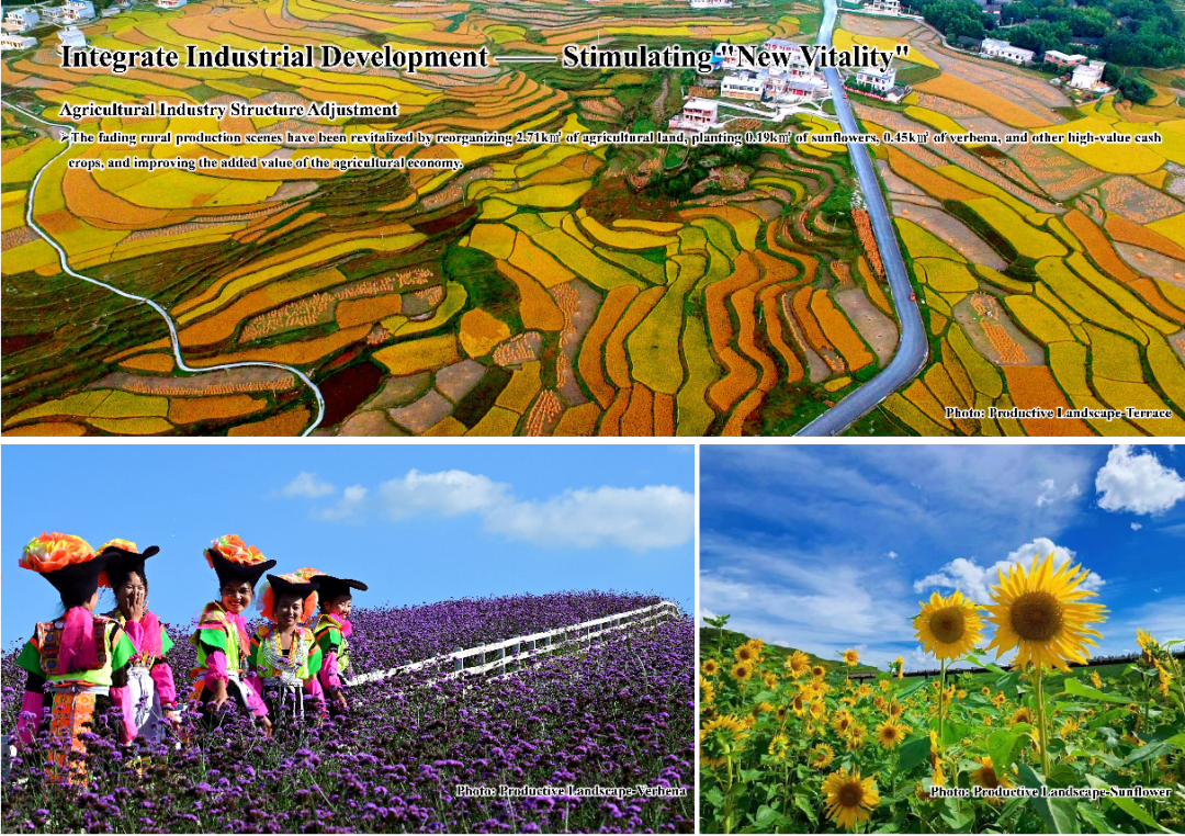 2023年IFLA APR国际大奖 | 贵阳花溪乡村景观休闲活力带 2023年IFLA APR国际大奖 | 贵阳花溪乡村景观休闲活力带