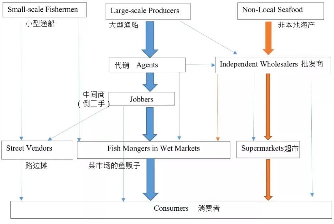 在菜市场的江湖里,找到你的“生态位” 在菜市场的江湖里,找到你的“生态位”