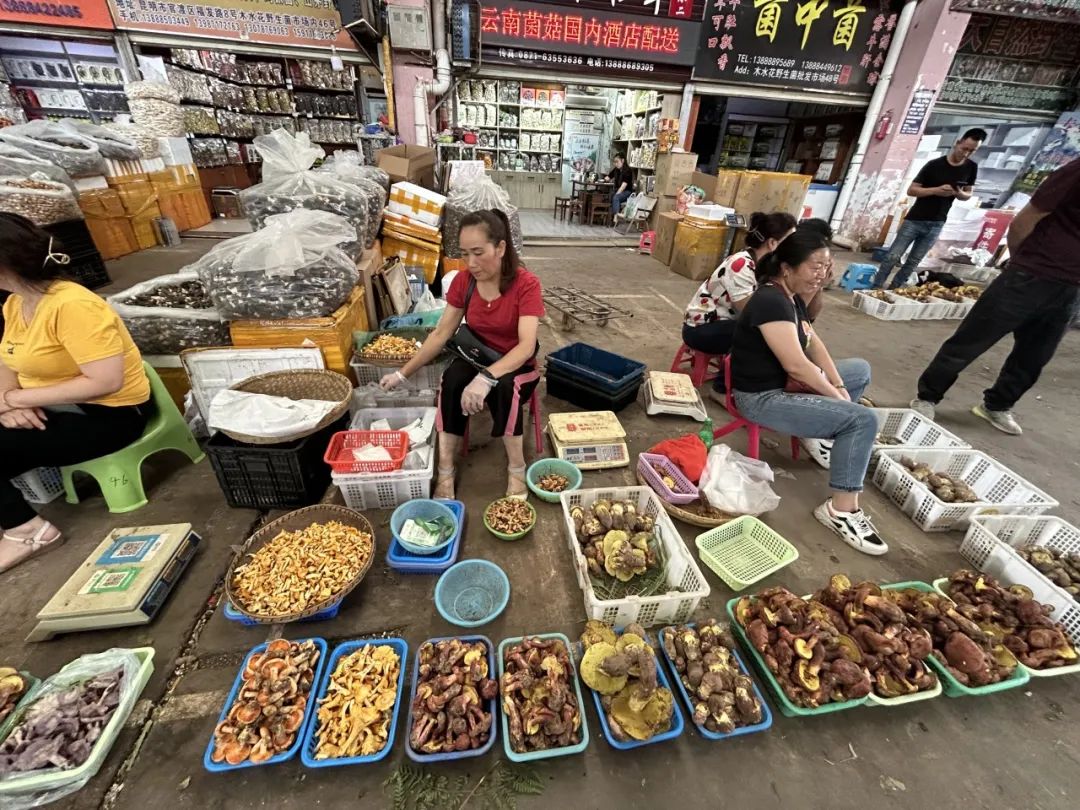 在菜市场的江湖里,找到你的“生态位” 在菜市场的江湖里,找到你的“生态位”
