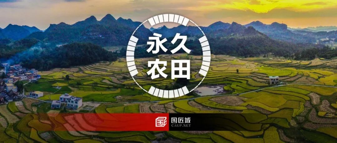 自然资源部、农业农村部发布《永久基本农田保护红线管理办法(征求意见稿)》 自然资源部、农业农村部发布《永久基本农田保护红线管理办法(征求意见稿)》