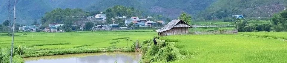 要闻 | 两部门就《永久基本农田保护红线管理办法》公开征求意见 要闻 | 两部门就《永久基本农田保护红线管理办法》公开征求意见