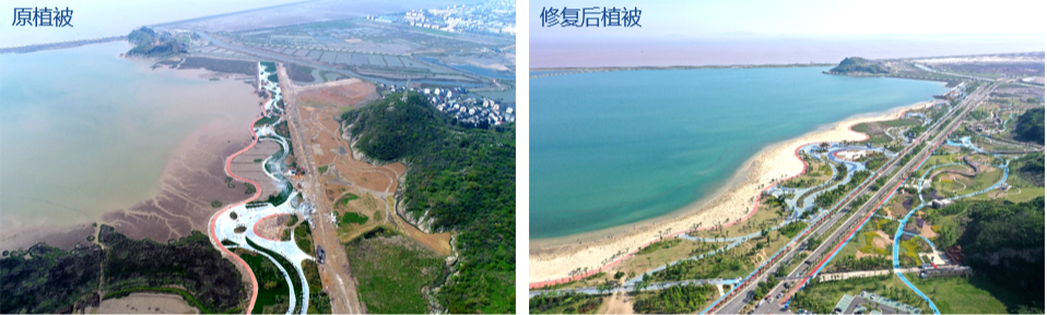 国土空间生态修复典型案例丨浙江台州白沙湾滨海湿地修复项目