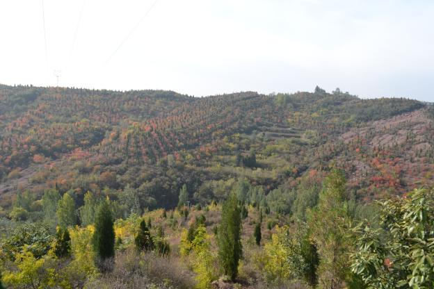 国土空间生态修复典型案例丨河南南太行地区山水林田湖草生态保护修复工程——济源市下冶煤铝土开采区矿山地质环境治理项目 国土空间生态修复典型案例丨河南南太行地区山水林田湖草生态保护修复工程——济源市下冶煤铝土开采区矿山地质环境治理项目
