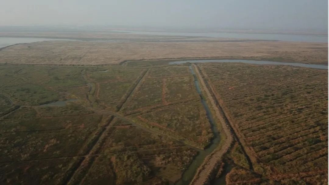 国土空间生态修复典型案例丨湖南湘江流域和洞庭湖山水林田湖草生态保护修复工程——常德市西洞庭湖国家级自然保护区生态保护修复项目 国土空间生态修复典型案例丨湖南湘江流域和洞庭湖山水林田湖草生态保护修复工程——常德市西洞庭湖国家级自然保护区生态保护修复项目