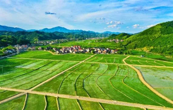 市土地房屋征收中心（市国土整治中心）：以一流攀登姿态，不断增进群众获得感、幸福感